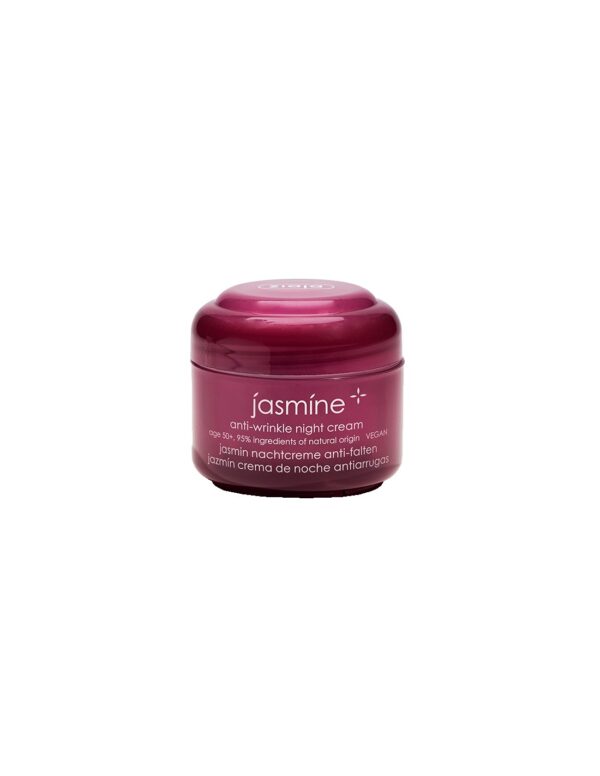 Crema de Noche Antiarrugas